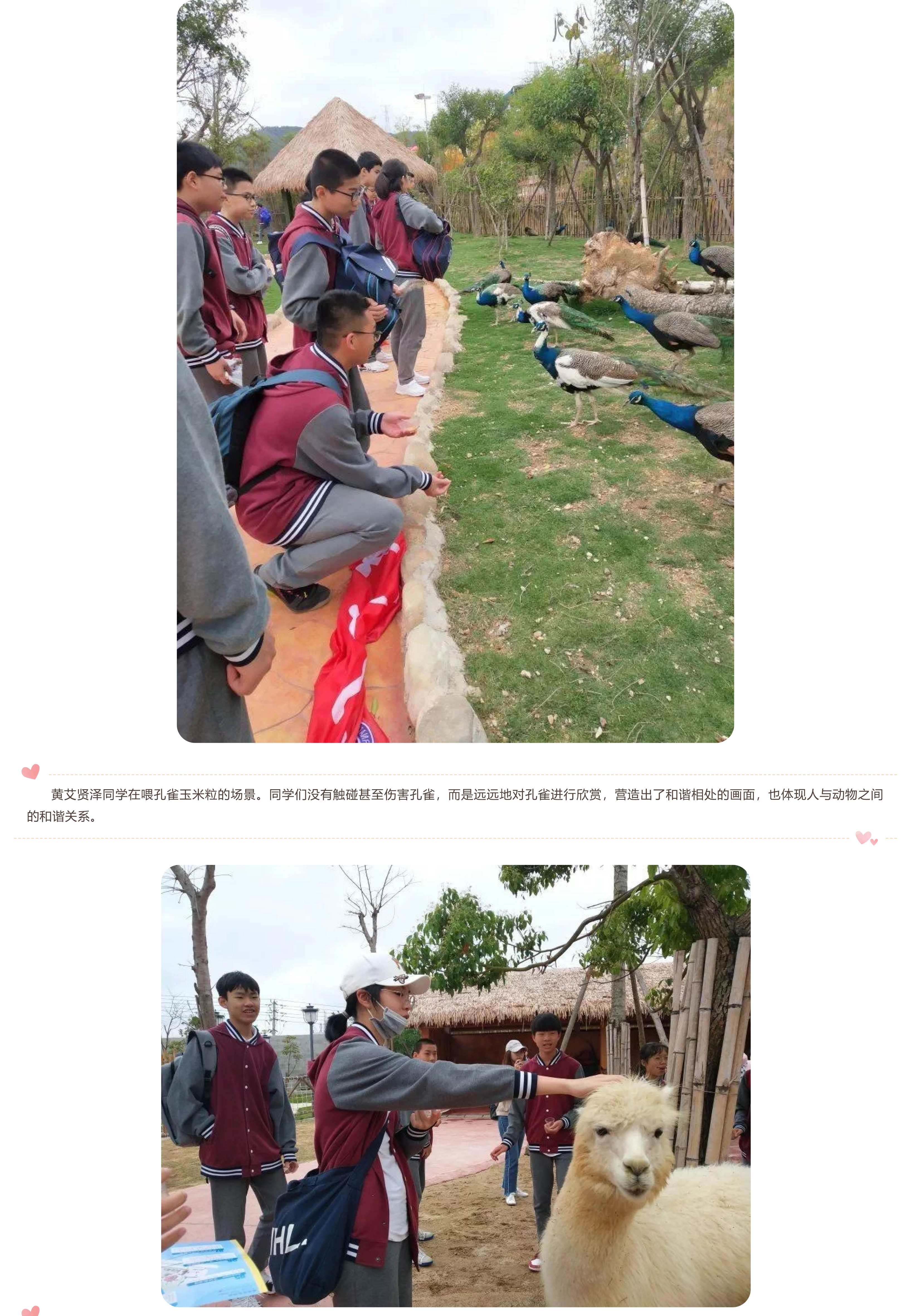 福州阳光国际学校-7.jpg