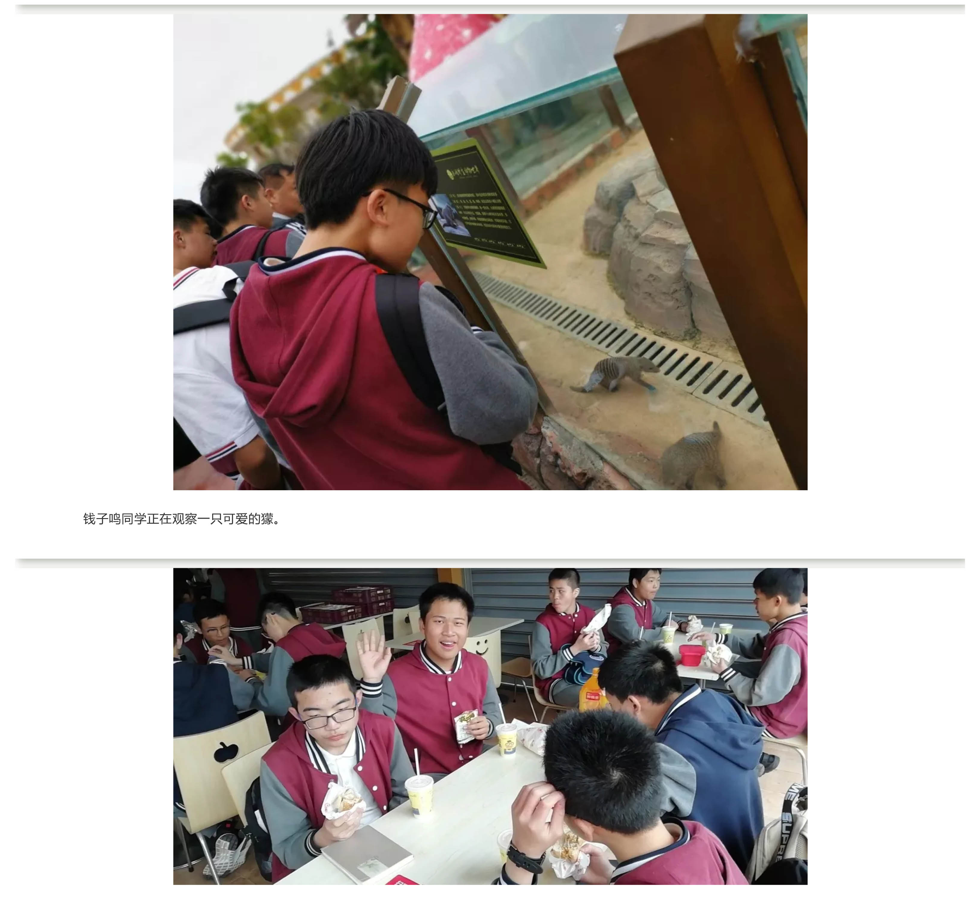福州阳光国际学校-10.jpg