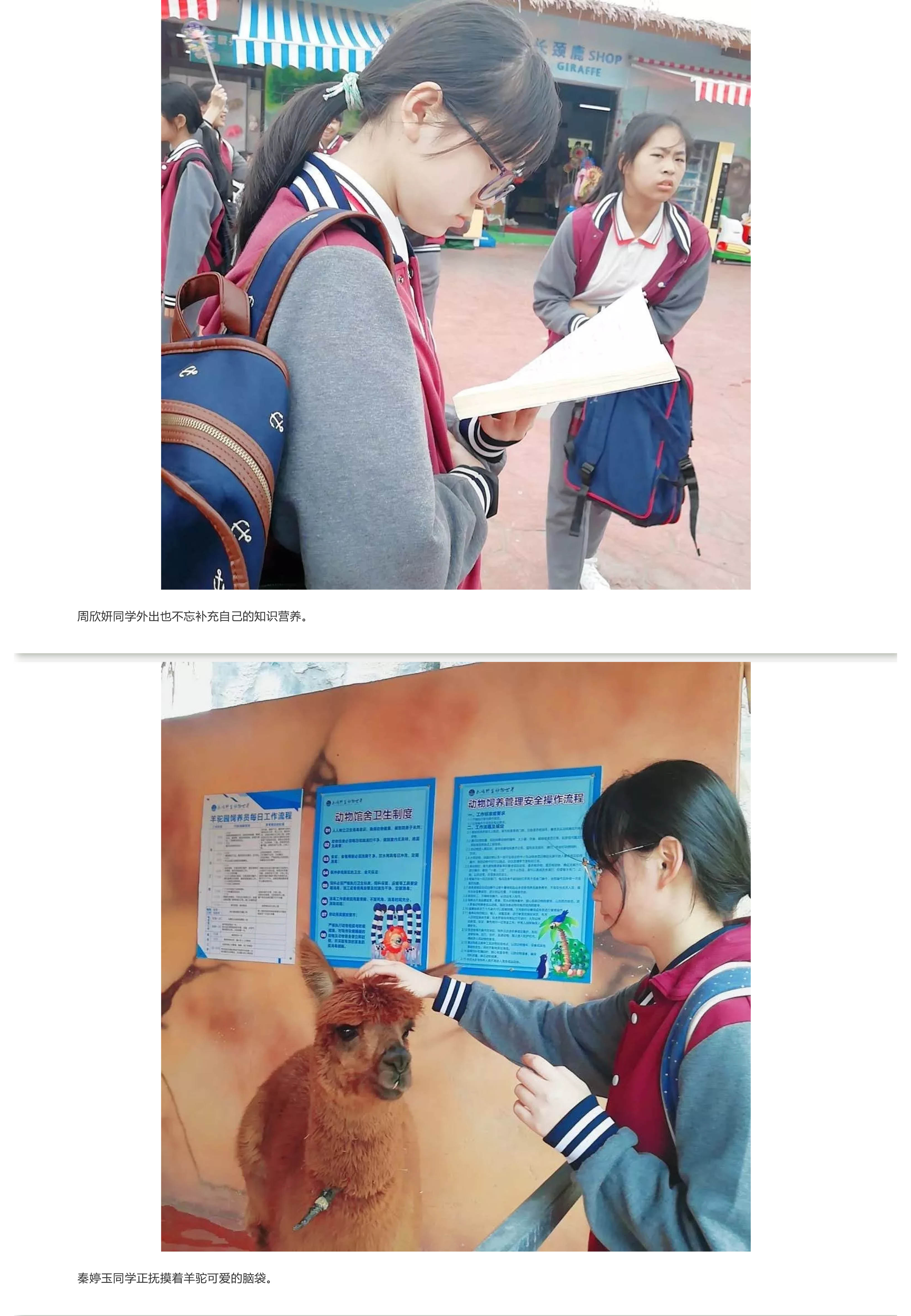 福州阳光国际学校-13.jpg