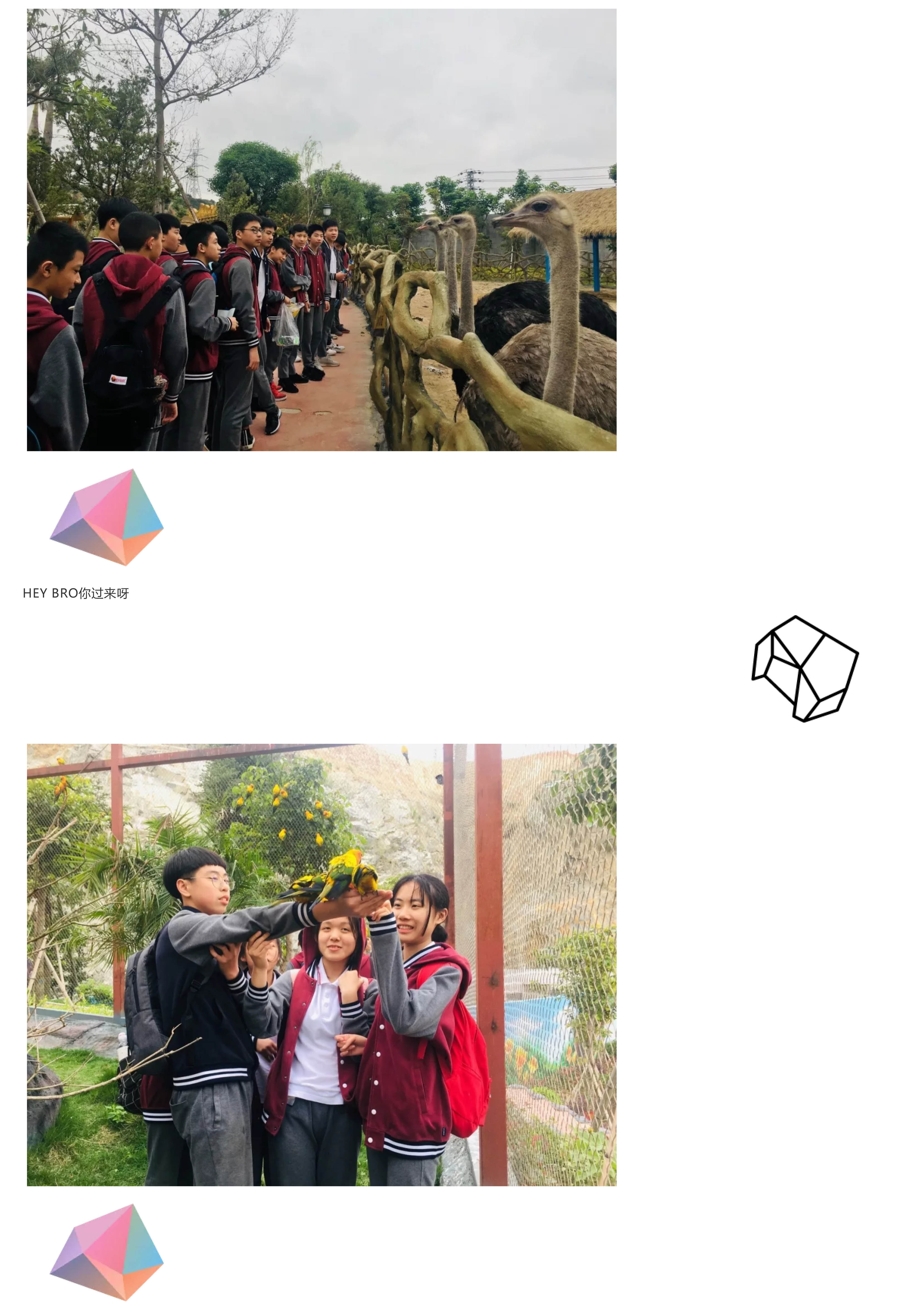 福州阳光国际学校-21.jpg