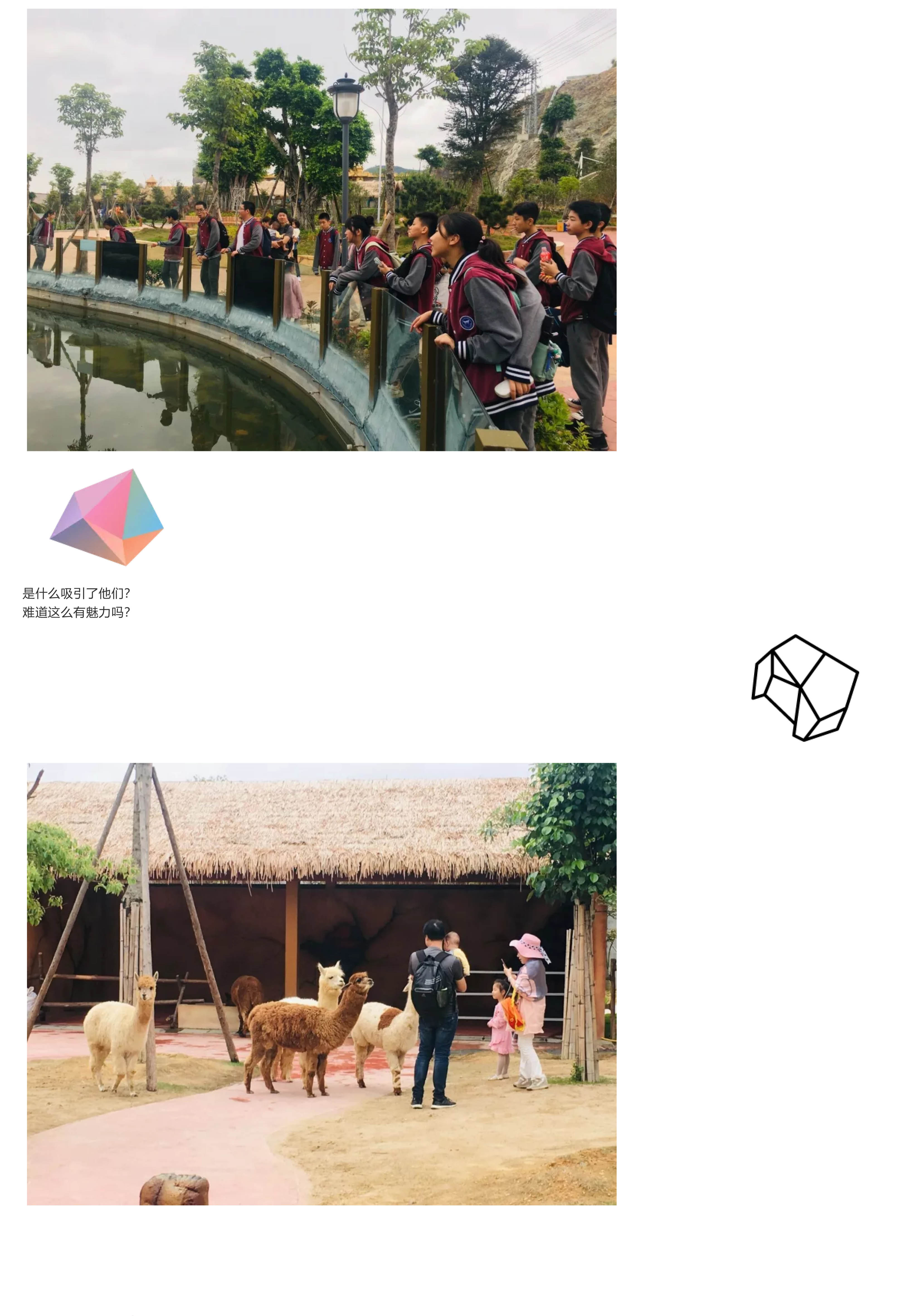 福州阳光国际学校-26.jpg