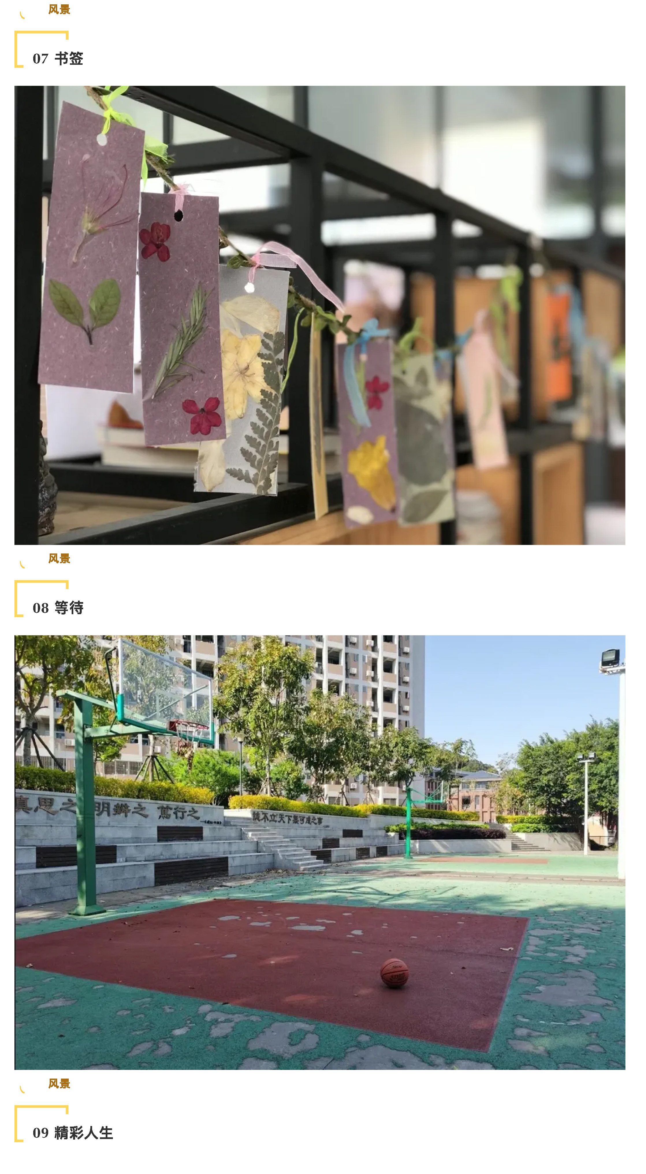 “说阳光故事 展阳光风采”摄影大赛-5.jpg
