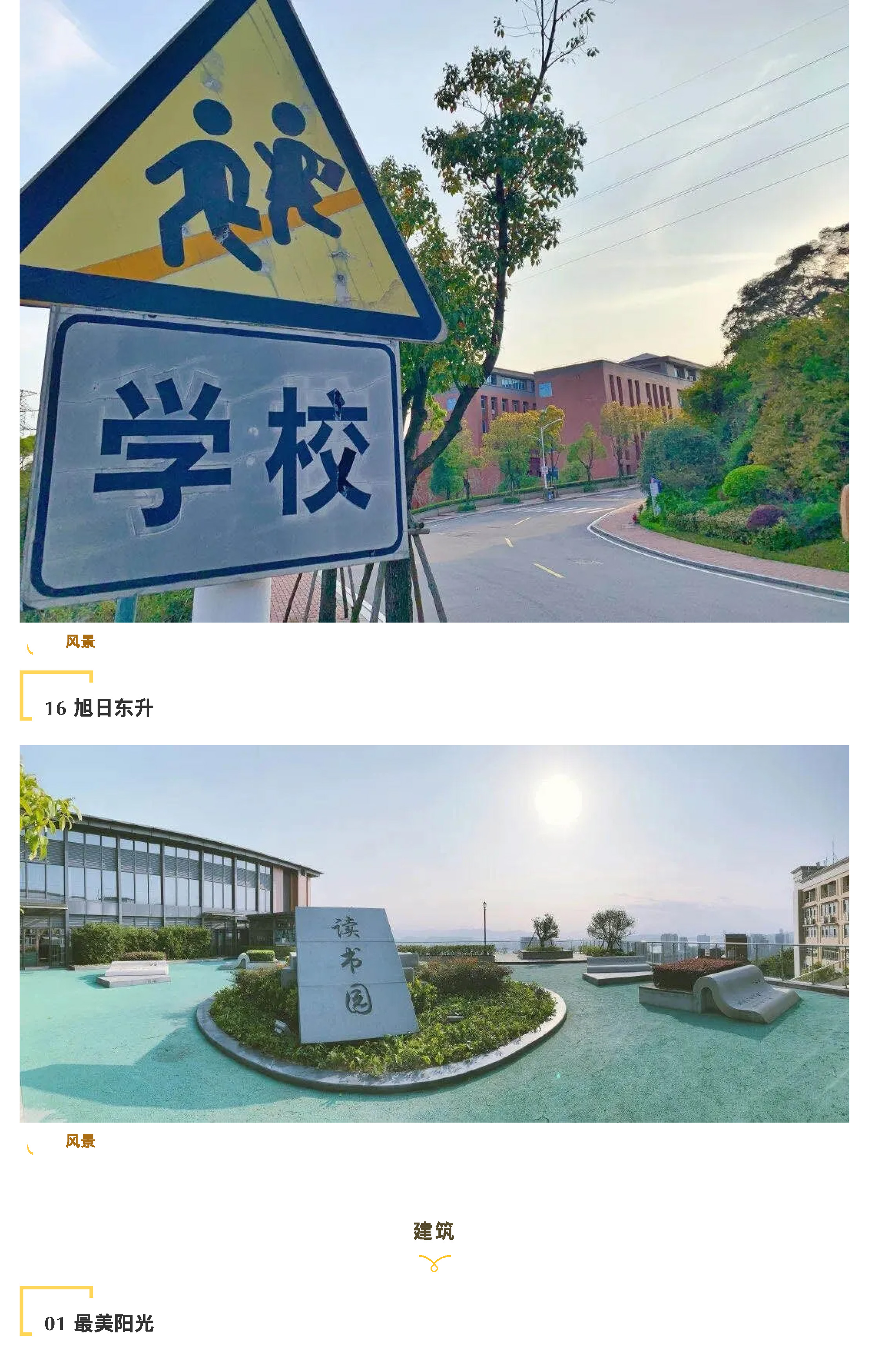“说阳光故事 展阳光风采”摄影大赛-9.jpg