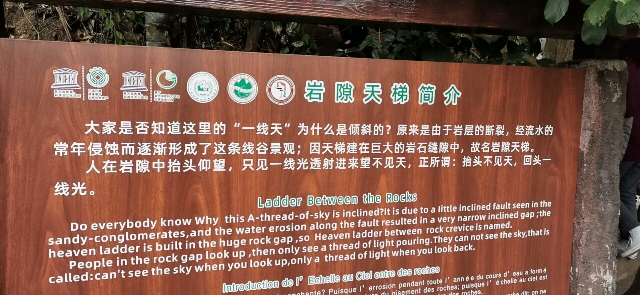 1608596999199004.jpg 00 (34).jpg