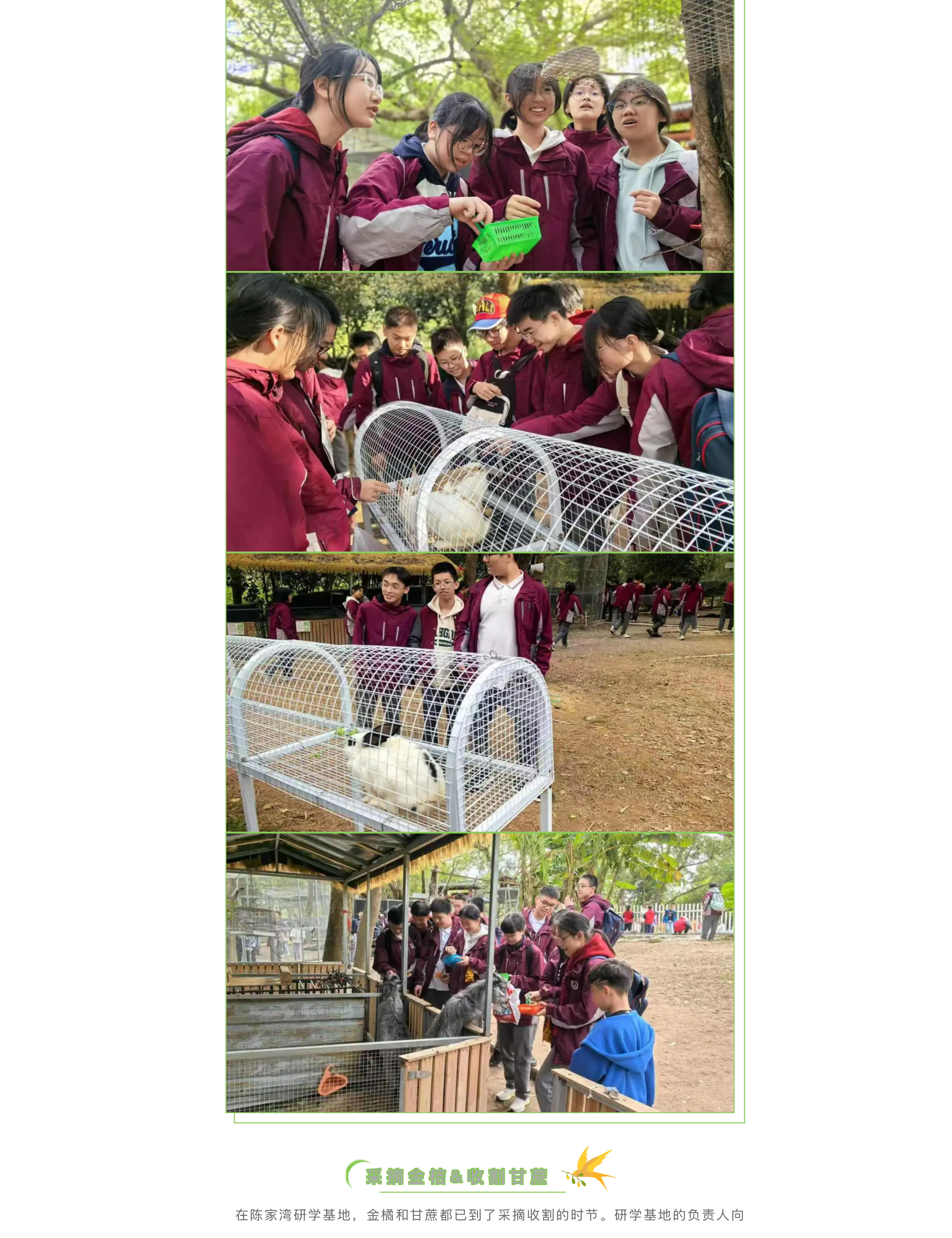 追寻红色记忆 探索森铁魅力 | 福州市阳光实验学校初中部研学活动-31.jpg