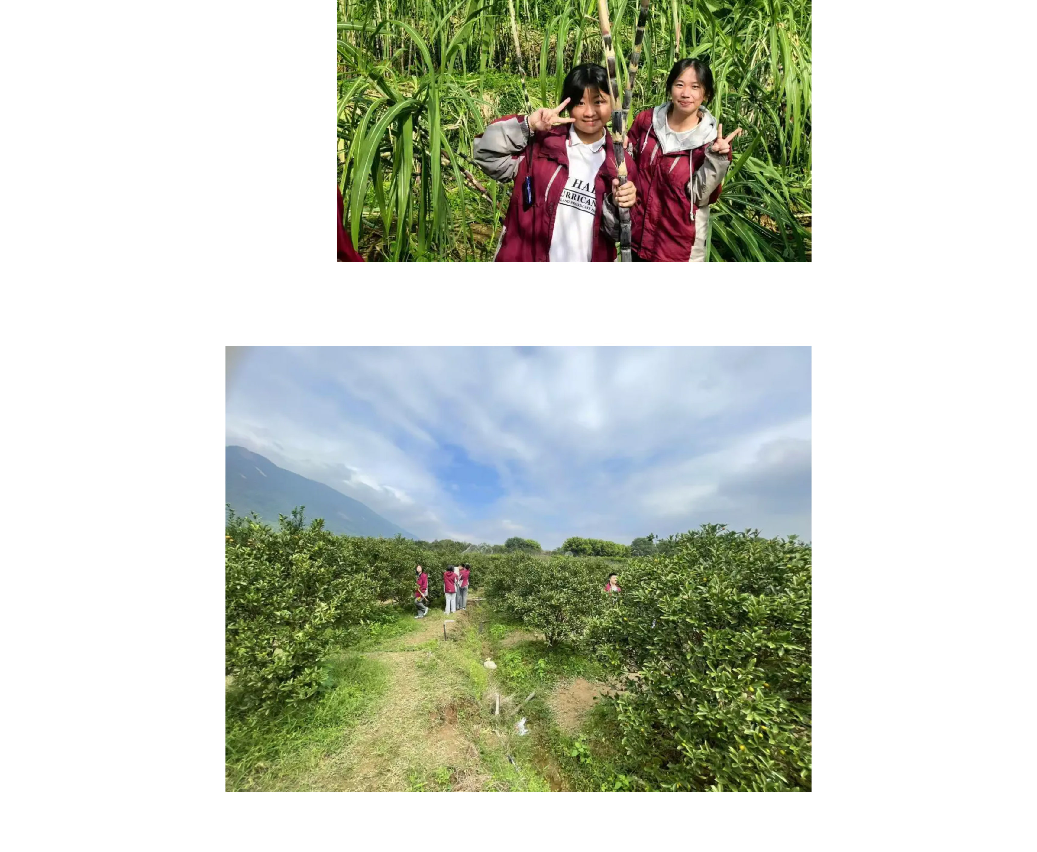 追寻红色记忆 探索森铁魅力 | 福州市阳光实验学校初中部研学活动-34.jpg