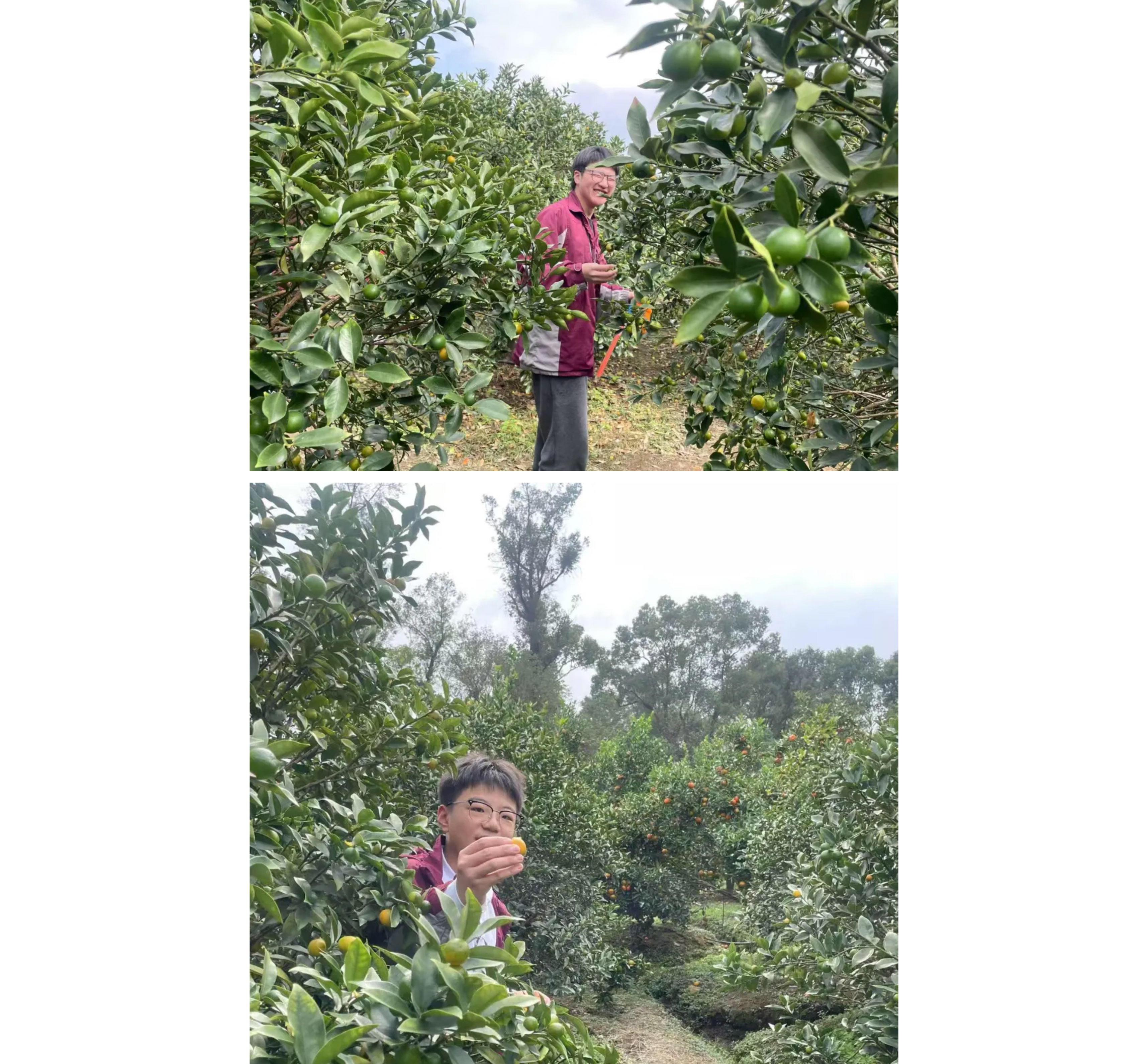 追寻红色记忆 探索森铁魅力 | 福州市阳光实验学校初中部研学活动-36.jpg